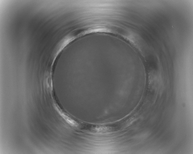 X0000066541274200603201416