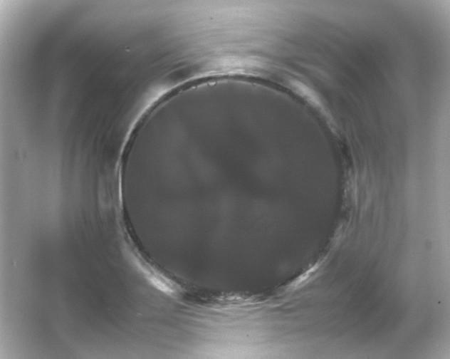 X0000066541275200603201416