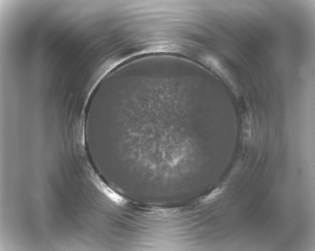 X0000066541276200603201416