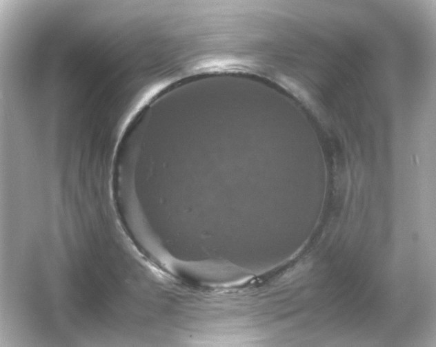 X0000066541277200603201416