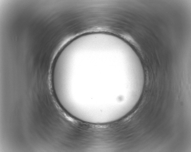 X0000066541278200603201416