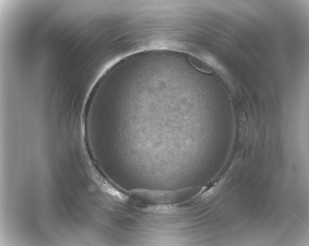 X0000066541280200603201416