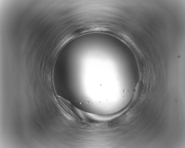 X0000066541281200603201416