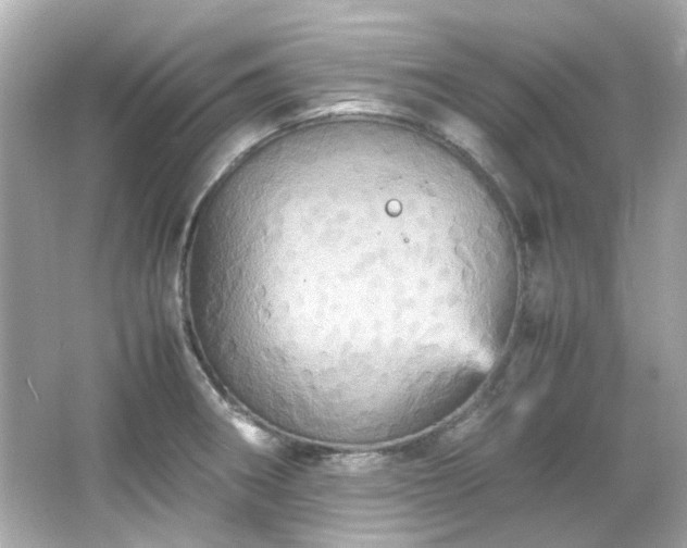 X0000066541282200603201416