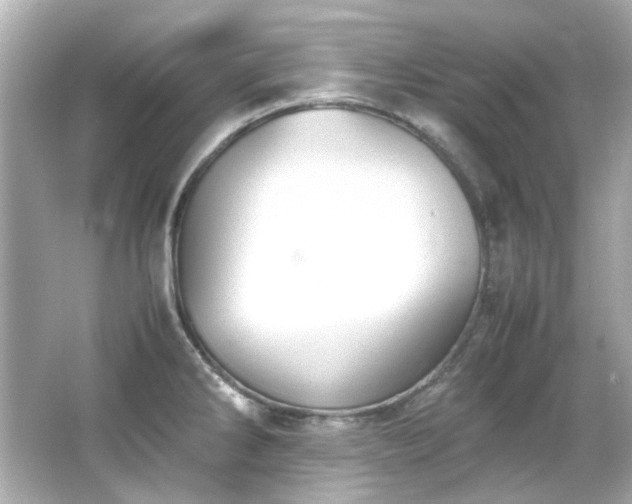 X0000066541286200603201416