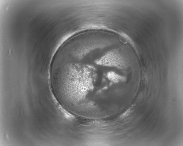 X0000066541287200603201416