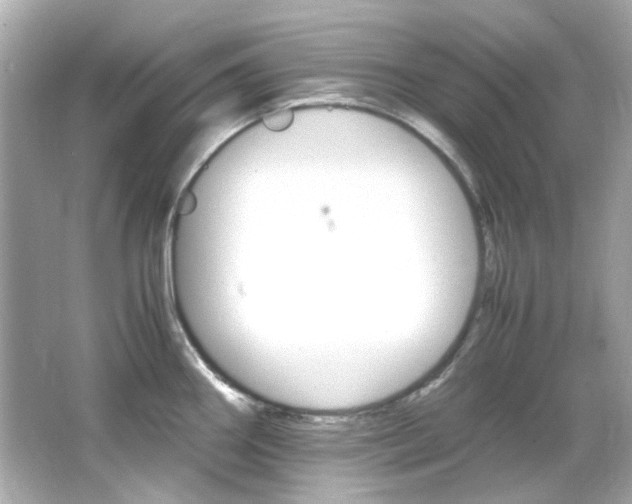 X0000066541290200603201416