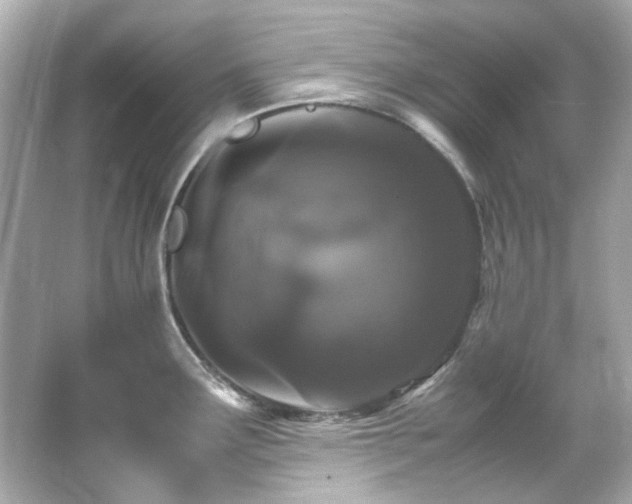 X0000066541291200603201416