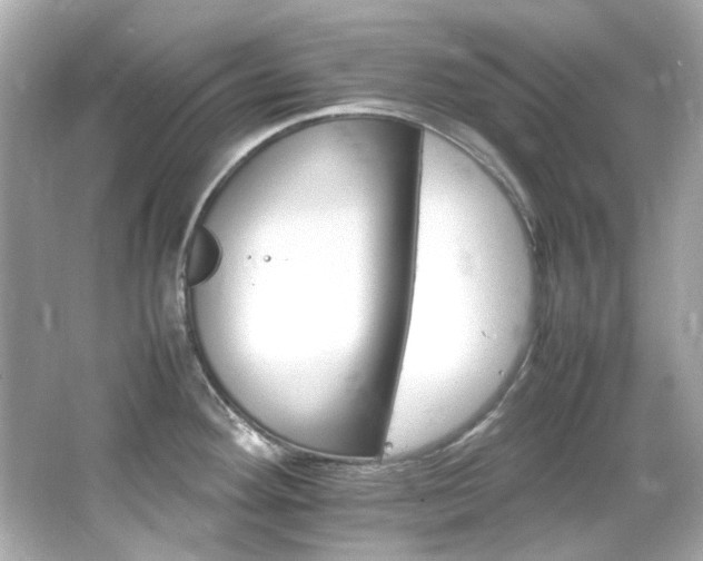 X0000066541292200603201416