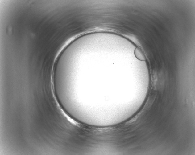 X0000066541294200603201416