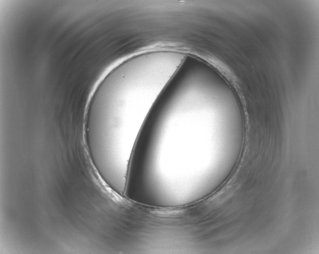 X0000066541296200603201416