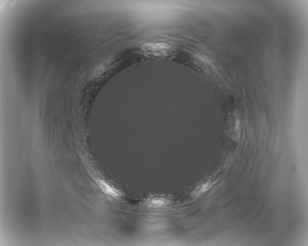 X0000066541297200603201415