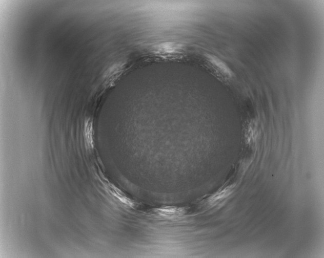 X0000066541298200603201415