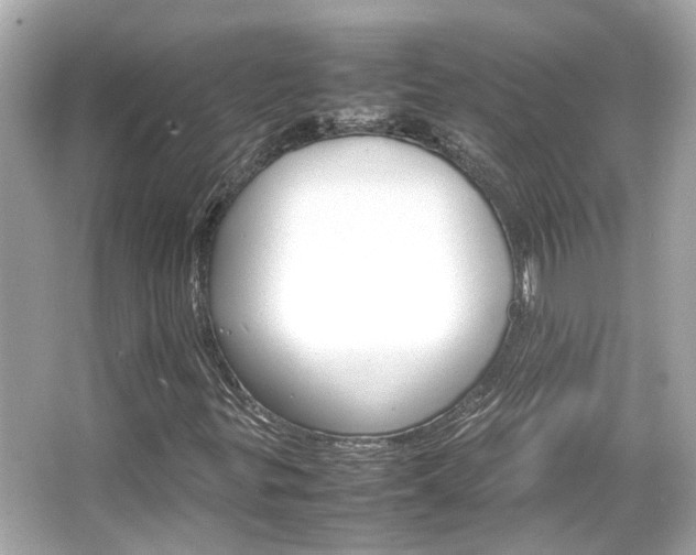 X0000066541299200603201415