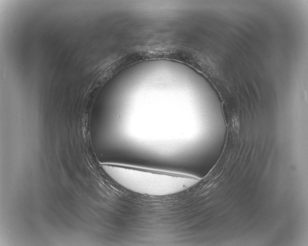 X0000066541300200603201415