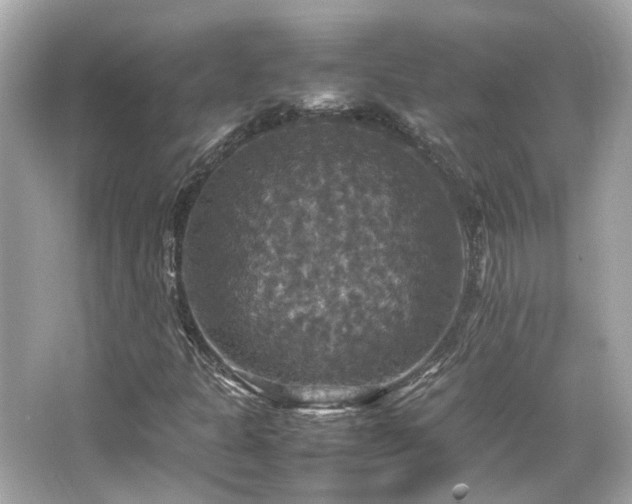 X0000066541301200603201415