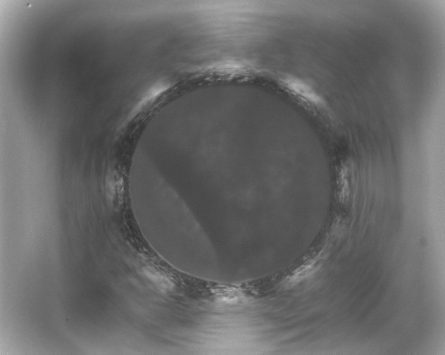 X0000066541302200603201415