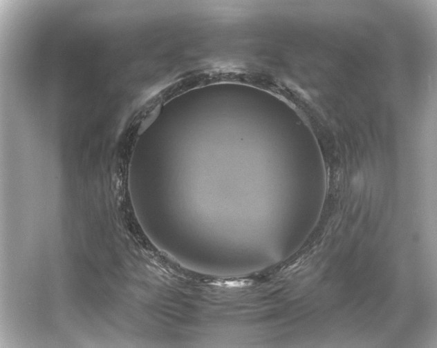 X0000066541303200603201415