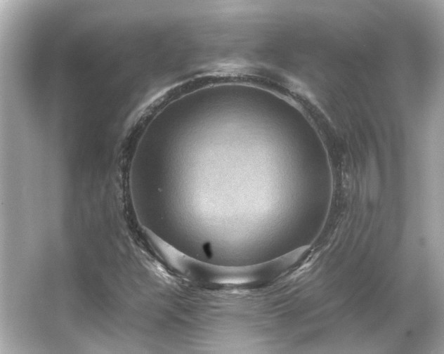 X0000066541304200603201415