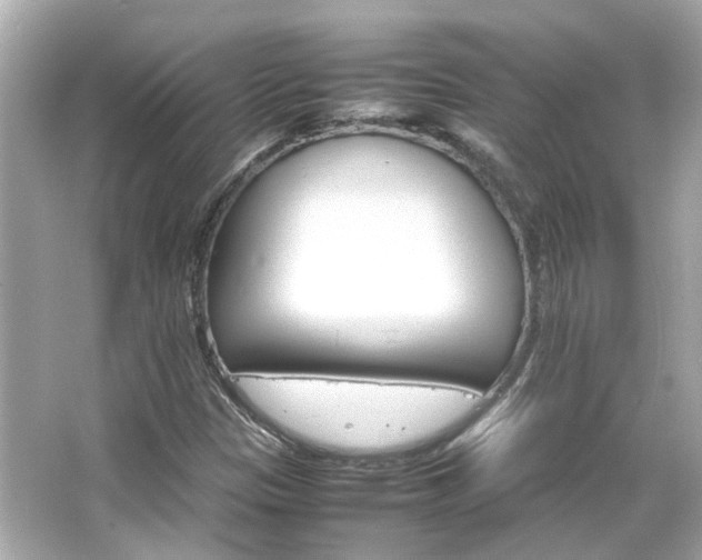 X0000066541305200603201415