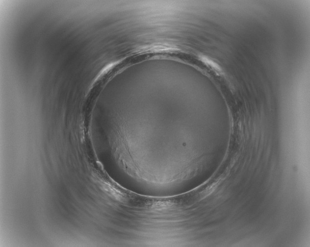 X0000066541306200603201415