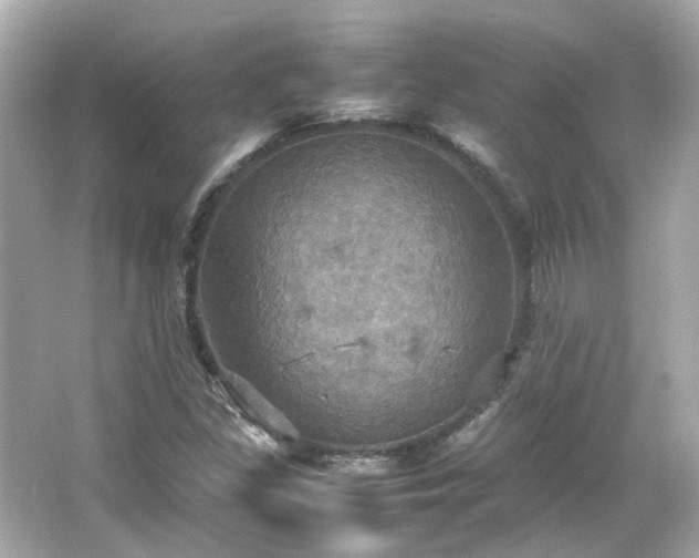 X0000066541309200603201415