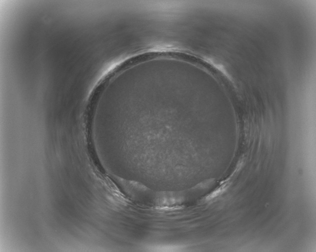 X0000066541311200603201415