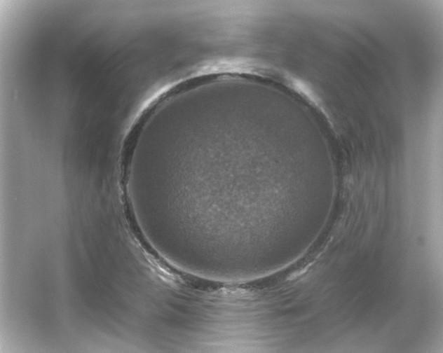 X0000066541312200603201415