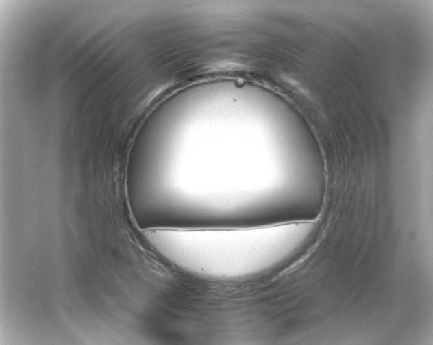 X0000066541313200603201415