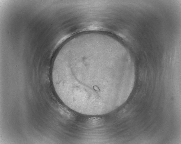 X0000066541314200603201415