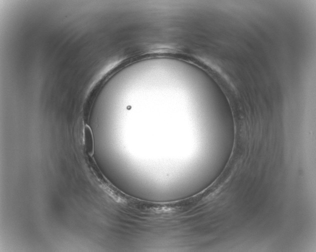 X0000066541317200603201415