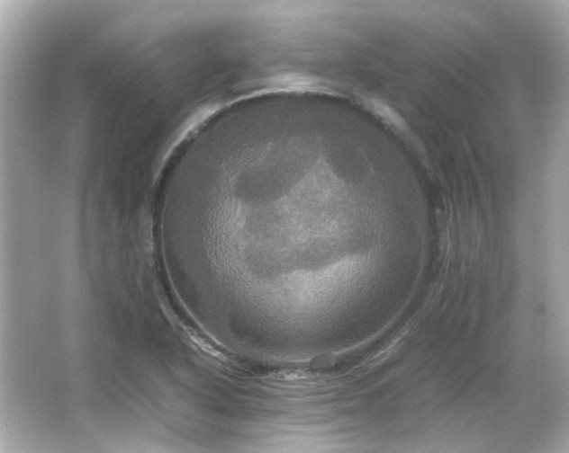 X0000066541318200603201415