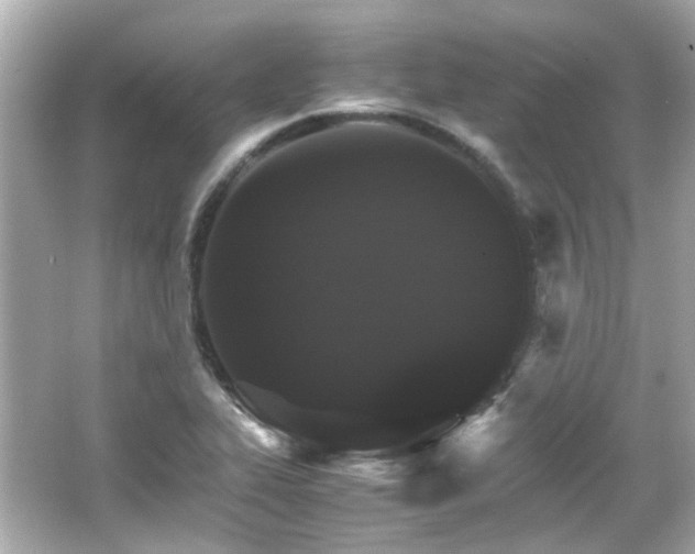 X0000066541319200603201415