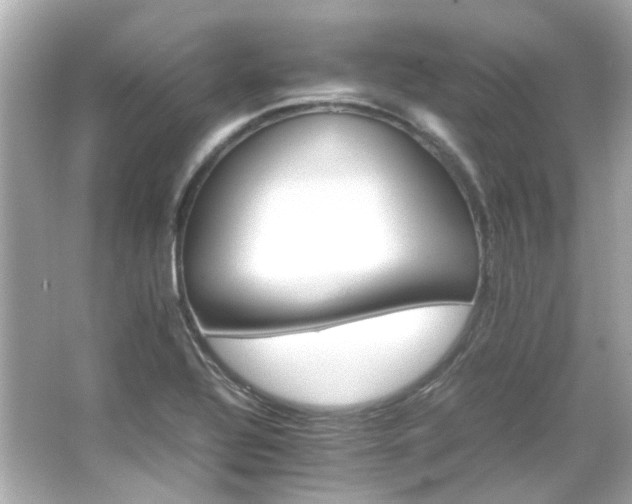 X0000066541320200603201415