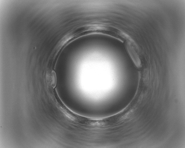 X0000066541321200603201415