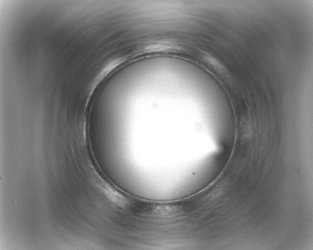 X0000066541322200603201415