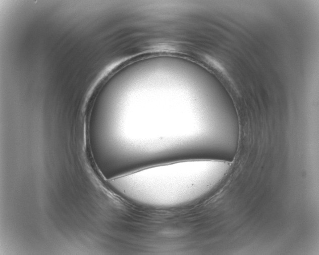 X0000066541323200603201415