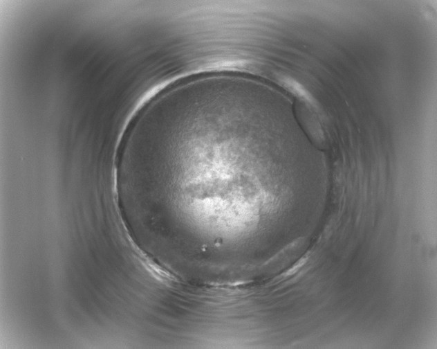 X0000066541324200603201415