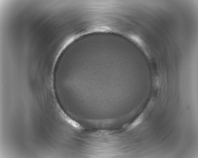 X0000066541326200603201415