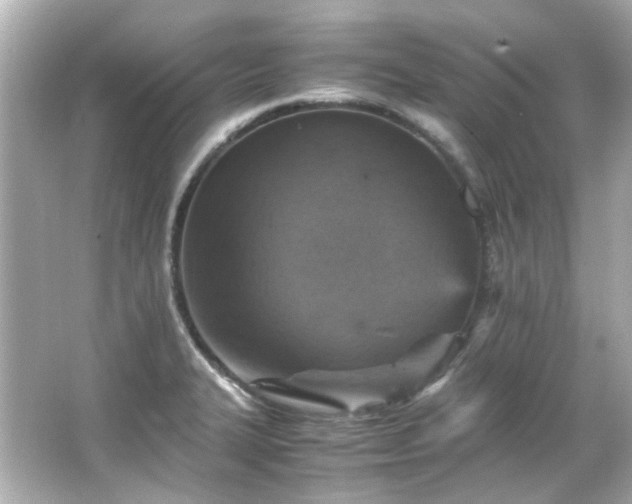 X0000066541327200603201415