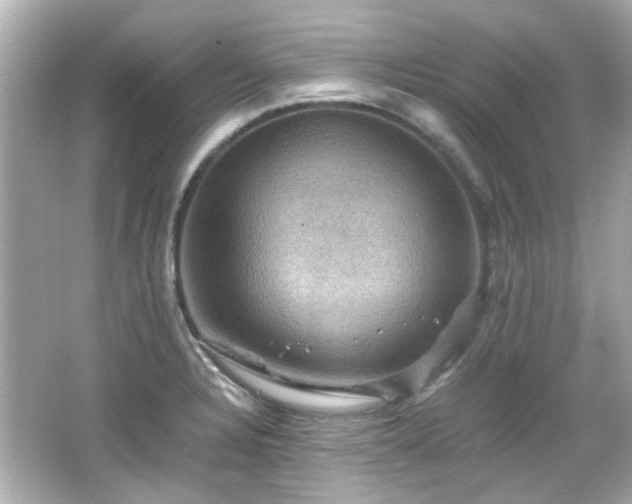 X0000066541328200603201415