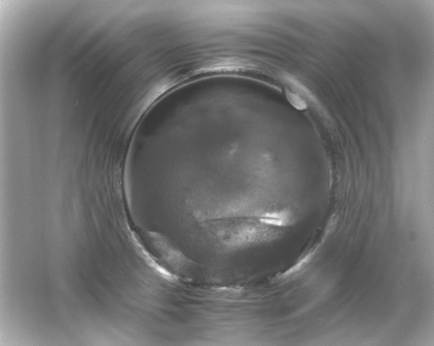 X0000066541329200603201416