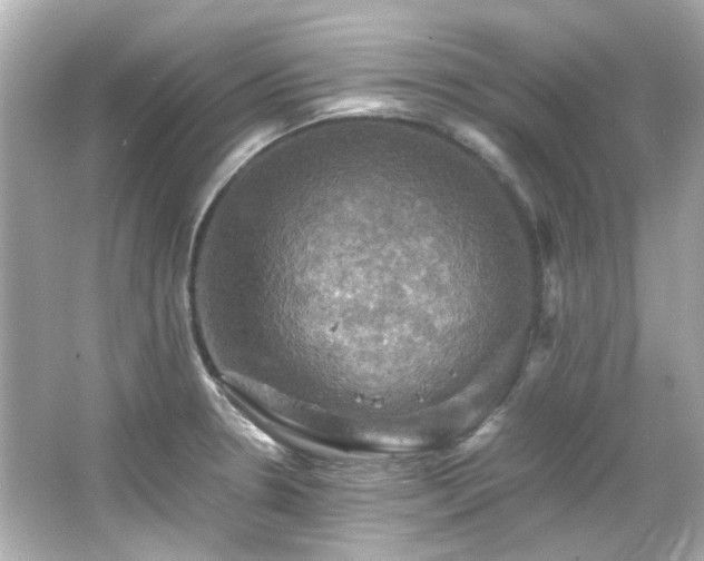 X0000066541330200603201416