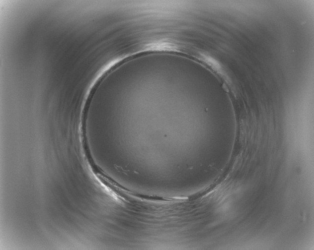 X0000066541331200603201416