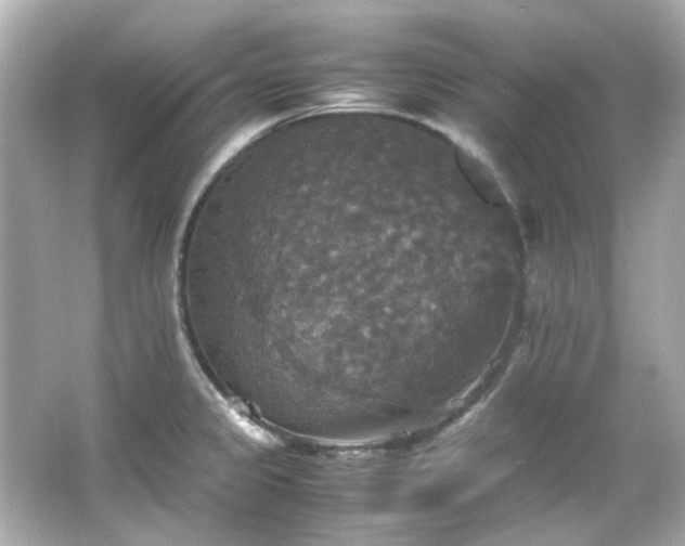 X0000066541333200603201416