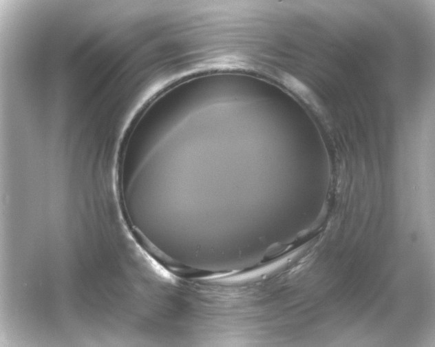 X0000066541334200603201416