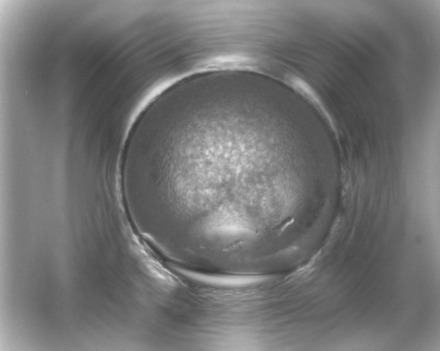 X0000066541336200603201416