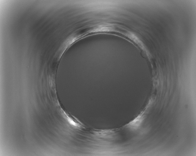 X0000066541337200603201416