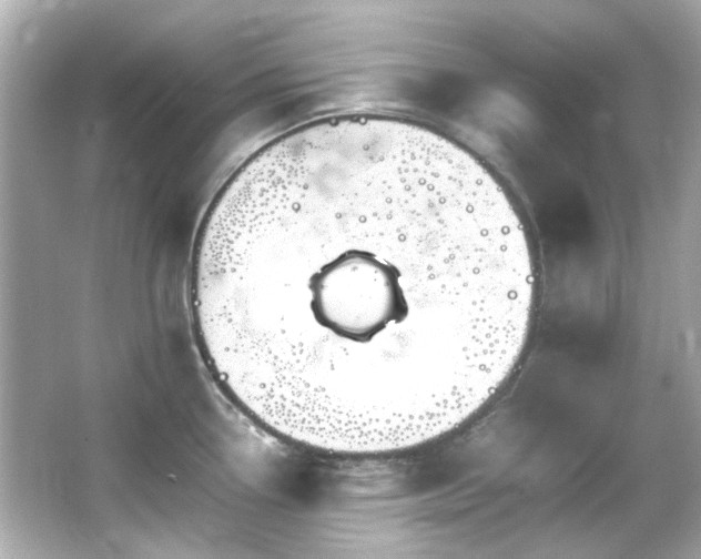 X0000066541338200603201416