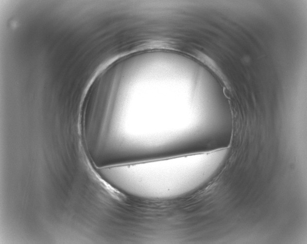 X0000066541339200603201416